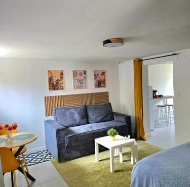 Grand studio cosy proche Paris