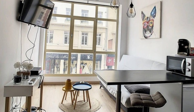 Grand Studio cosy spacieux centre-ville 4pers