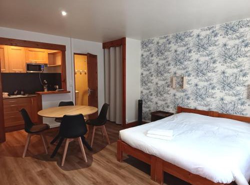 Grand studio en montagne