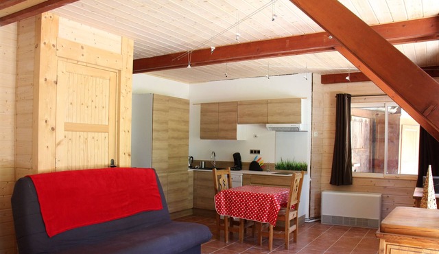 Grand Studio independent between lake and mountains at the foot of Semnoz