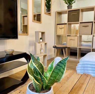 Grand studio Ô Joie