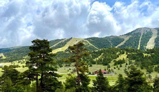Grand Studio Plein sud Piste view