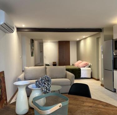 Grand studio refait à neuf