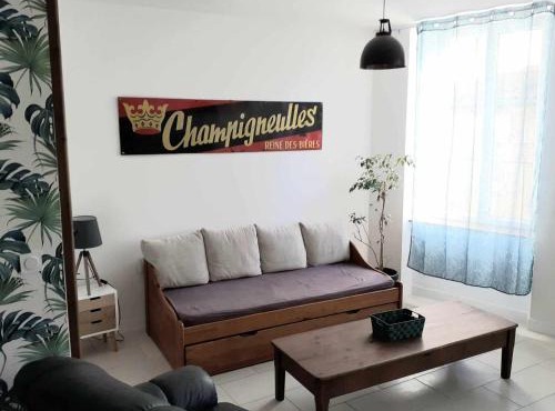 Grand T3 calme et lumineux 4-6 personnes