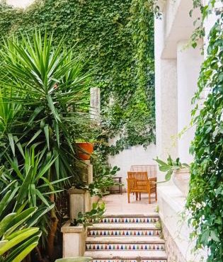 Grande chambre cosy avec kitchenette, salle de bain et WC privatif