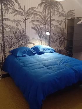 Grande Chambre2 Lumineuse, Agréable, Confortable et Fonctionnelle