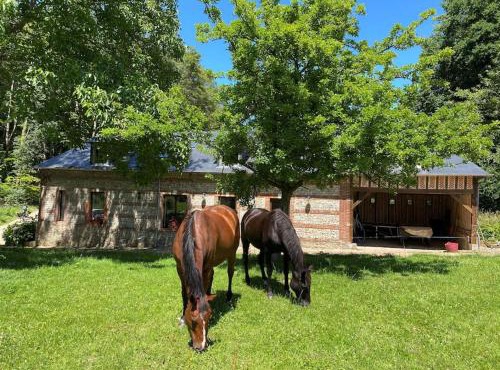 Grande et belle maison ancienne restaurée