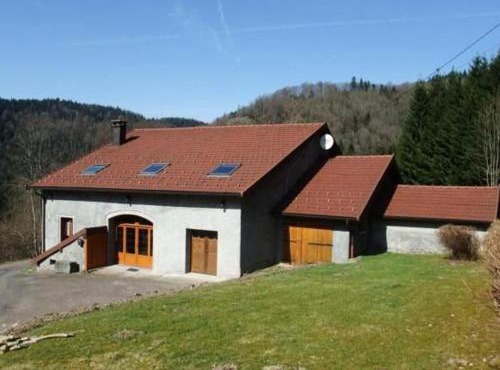 Grande maison au cœur des Vosges, escapades et nature - FR-1-583-466