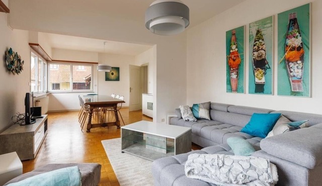 Grande Maison DE Caractere SUR LA Route DES Vins, EN Plein Coeur DE L'alsace