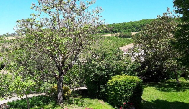 Grande Maison de Caractère 5 chambres - Aubiac 47