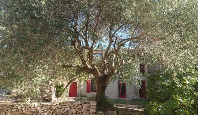 Grande Maison Familiale en Pays Cathare