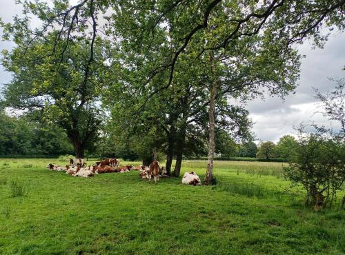 grande maison à la ferme