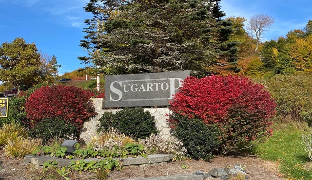 Grandfather Glory. A Luxury Condo With Spectacular View of Grandfather Mountain