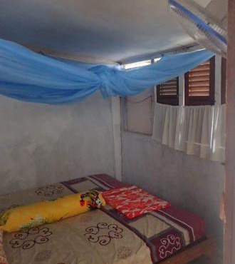 GRANDMA GUEST HOUSE including jungle Trek