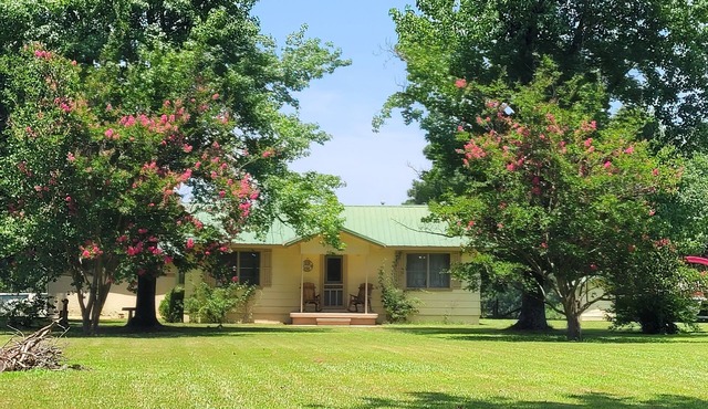 Grandma's House