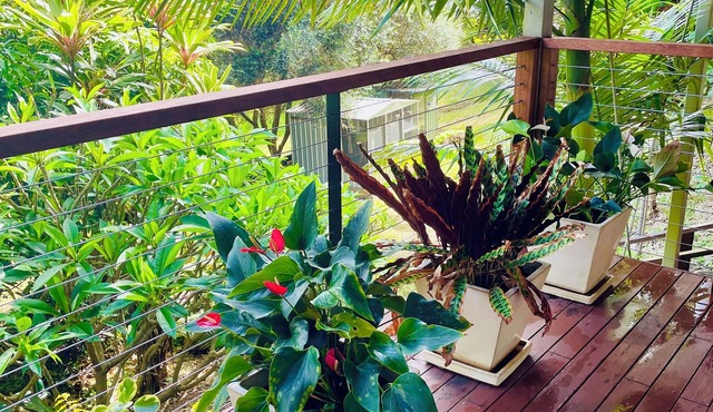 Grandview Retreat, Hinterland Self Contained Apartment