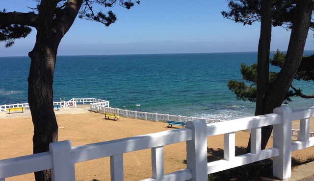 Grange aux Hirondelles Charming cottage 500m from the sea and Palus beach.