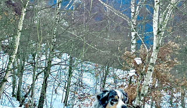 Grange de Montagne Entièrement Rénovée