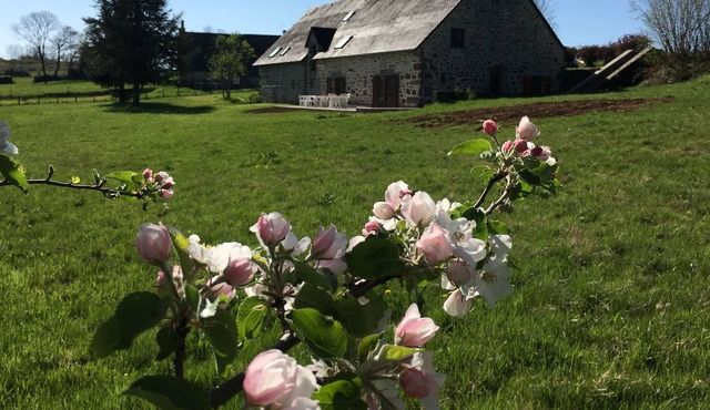 Grange authentic Auvergne