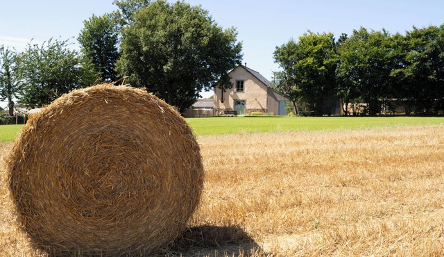 Grange Moderne Près de Rennes Avec Jolie vue !