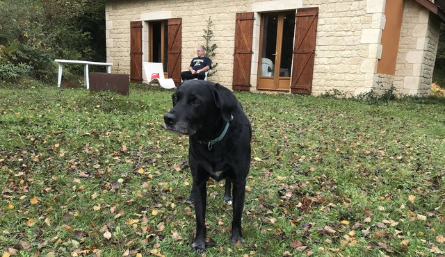 Grange rénovée dans un havre de paix