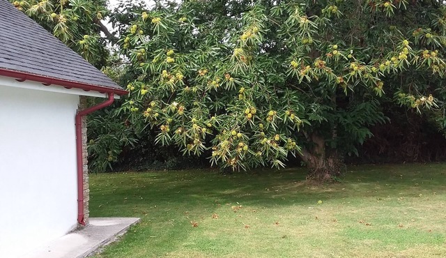 Granges de la porte d'Aspe at the entrance to the Vallée d'Aspe