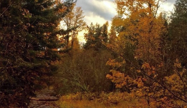 Grant Creek Lodge-Family, Friends and Retreats