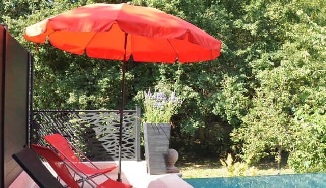 Grasse, quiet, garden, swimming pool