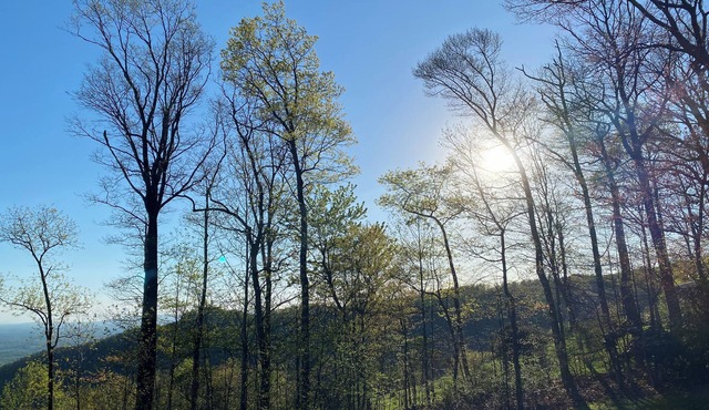 Gratitude View - Do SPRING in the mountains this year