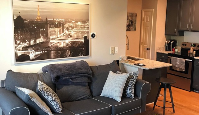Great 1/1 condo in the heart of downtown close to all the restaurants and bars.