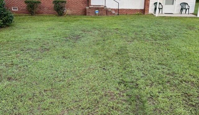 Great 3 bd brick home with all the essentials