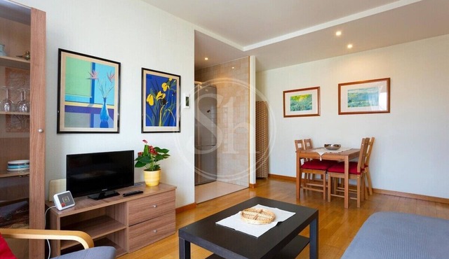 Great apartment near Sagrada Familia and Hospital Sant Pau