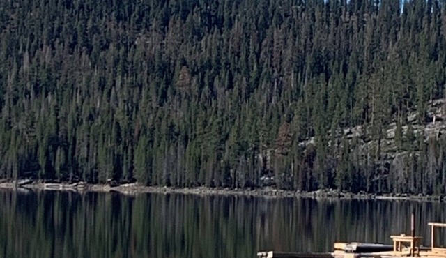 Great cabin walking distance to Huntington Lake