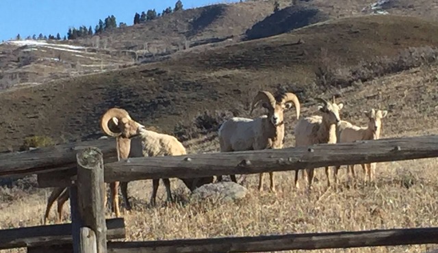 Great Escape and Short Drive from downtown Jackson Hole