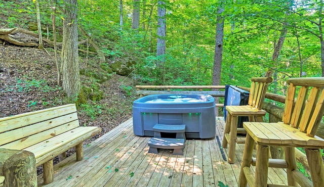 GREAT EXPECTATIONS - 2 Bdrm/2 Bath, wood burning fireplace, secluded, Laurel Valley