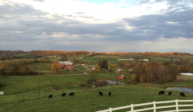 Great for Friends & Families, Breathtaking View, Nature Trails, Farm Animals