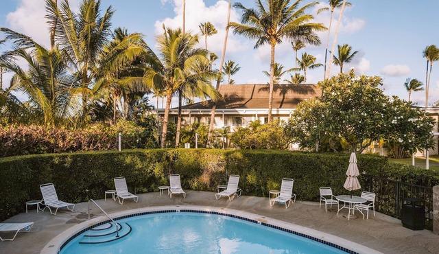 Great for Groups! 3 Spacious Suites w/Full Kicthen and Living Area