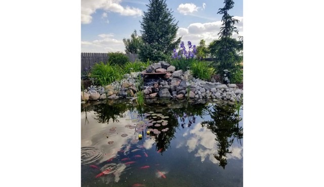 Great Garden Level Apartment with Mountain Views