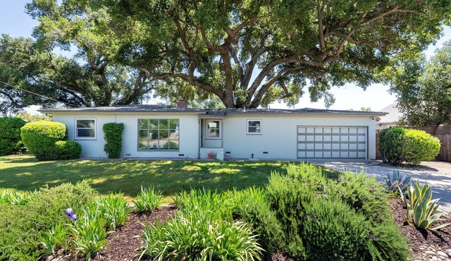 Great-Granddaddy's Oak Invites You into Downtown Paso Robles and Relaxation