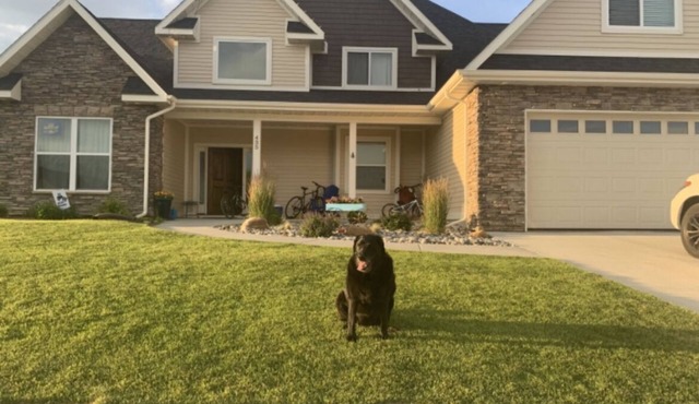 Great house for families - basketball court and fire pit.