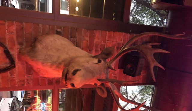 Great house in great location whether you want the city or the mountains!