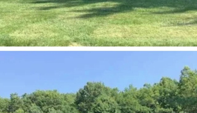 Great location, local to New York. Everything is around here. You will love this