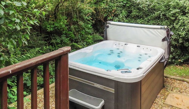 Great location and well-equipped lodge set in mature and beautiful gardens.