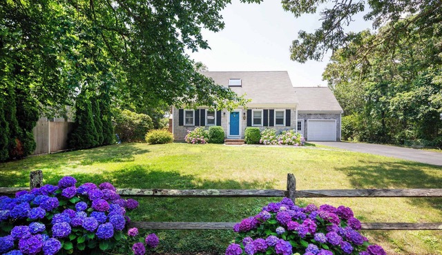 Great Location Outdoor Space Dog Friendly