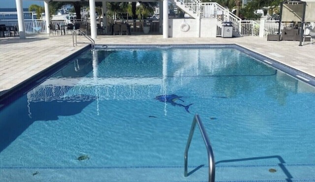 Great location -pool-boat ramp-marina-golf cart