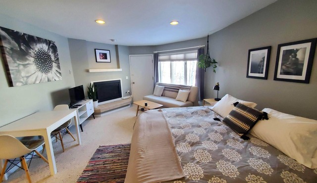 Great lock off studio apartment