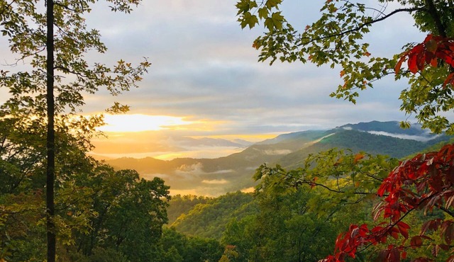 Great Mountain Views near Cherokee and Bryson City, NC w/1 BR, grill, & firepit