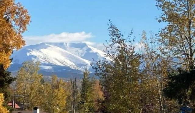 Great North Lodging