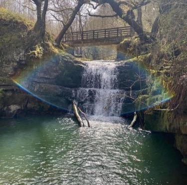 Great Oak Pod 9 Pet Friendly