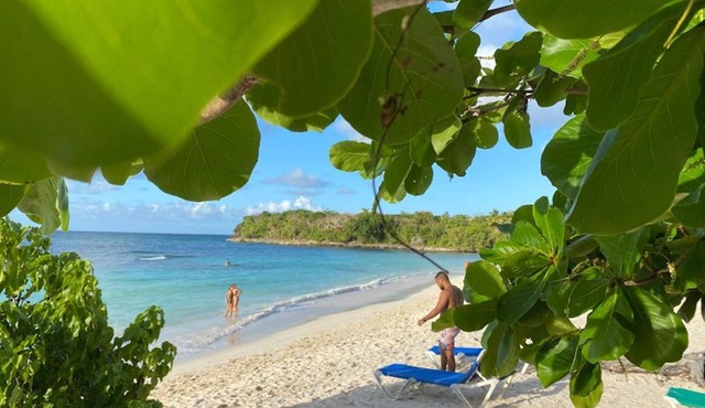 Great Palm View - Apartment 3 in Villa Coconut